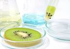 Are GMOs Safe to Eat? Are GMOs Safe to Eat?