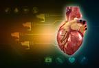 Heart's Natural Rhythm Replicated with Soft Robotic Sleeve Heart's Natural Rhythm Replicated with Soft Robotic Sleeve
