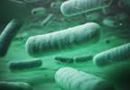Resistant Infection Rates Increasing Among US Children Resistant Infection Rates Increasing Among US Children