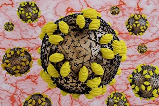 Many infections stemmed from rising use of injected drugs linked to the current opioid epidemic, officials say. Many infections stemmed from rising use of injected drugs linked to the current opioid epidemic, officials say.