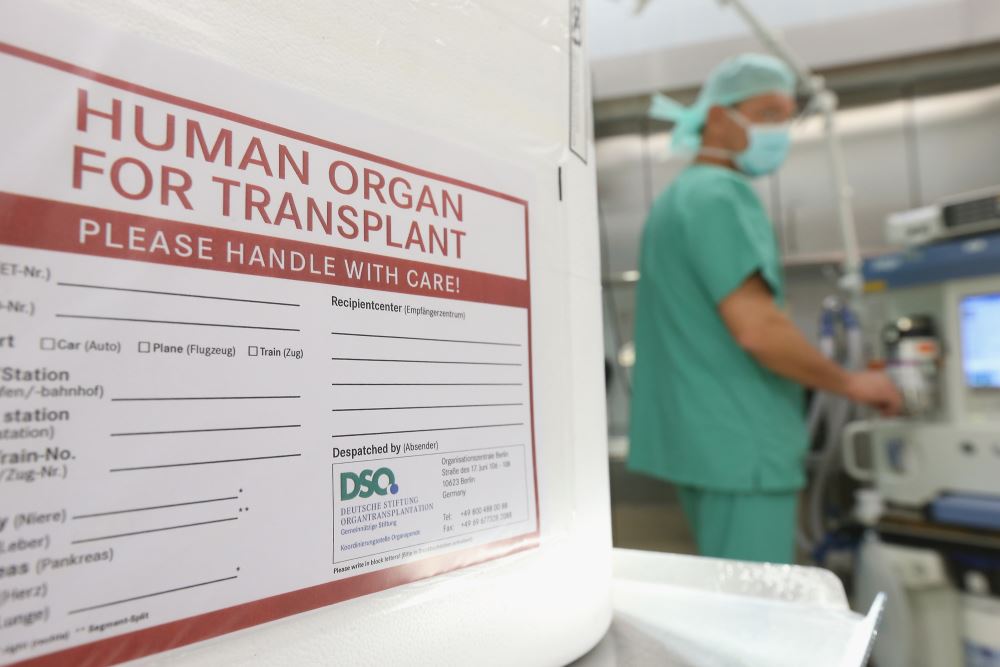 The best option for a donor organ would be