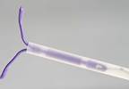 Women's Health Commentary Recommends Steps to Take Full Advantage of ACA's Contraceptive Mandate Women's Health Commentary Recommends Steps to Take Full Advantage of ACA's Contraceptive Mandate
