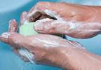 A Common Antimicrobial in Personal Hygiene Products Causes Liver Fibrosis and Cancer in Mice A Common Antimicrobial in Personal Hygiene Products Causes Liver Fibrosis and Cancer in Mice