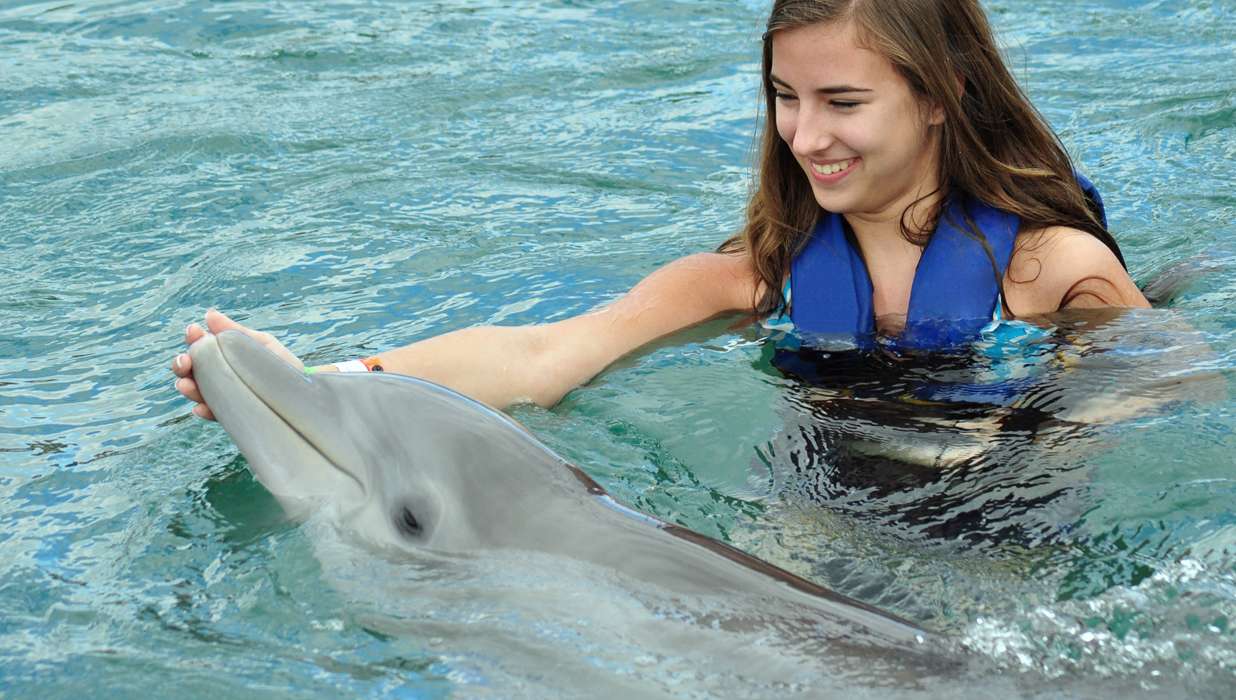 Dolphin-assisted Therapy