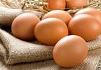 Replacing Meat With Egg White May Help Control Hyperphosphatemia Replacing Meat With Egg White May Help Control Hyperphosphatemia