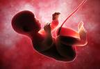Abortion Doctor Delivered 7 Babies Alive, Then Murdered Them With Scissors Abortion Doctor Delivered 7 Babies Alive, Then Murdered Them With Scissors