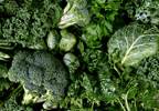 Green Leafy Vegetable Intake Associated With Lower Risk Of Glaucoma Green Leafy Vegetable Intake Associated With Lower Risk Of Glaucoma