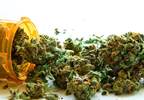 Marijuana Legalization and Its Impact Marijuana Legalization and Its Impact