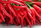 Pepper and Halt: Spicy Chemical May Inhibit Gut Tumors Pepper and Halt: Spicy Chemical May Inhibit Gut Tumors
