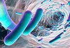 Prehospital Advanced Life Support Shortens Antibiotic Wait Times in Sepsis Prehospital Advanced Life Support Shortens Antibiotic Wait Times in Sepsis