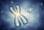 Scientists Find Genes That May Help Doctors Predict Cancer Treatment Outcomes Scientists Find Genes That May Help Doctors Predict Cancer Treatment Outcomes