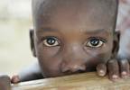 New Vector-Borne Virus Discovered in Haiti, Researchers Warn New Vector-Borne Virus Discovered in Haiti, Researchers Warn
