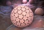 New HPV Screening Kit Allows Women to Test at Home New HPV Screening Kit Allows Women to Test at Home