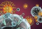 Long-term Use of ART in HIV Patients Show Rapid and Successful Immune Responses Long-term Use of ART in HIV Patients Show Rapid and Successful Immune Responses
