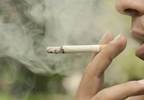 Smoking Consistently Responsible for Significant Amount of Cancer Deaths Smoking Consistently Responsible for Significant Amount of Cancer Deaths