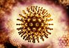 Long-Term HIV Remission Possible with Experimental Two-Drug Combo Long-Term HIV Remission Possible with Experimental Two-Drug Combo