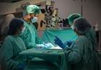 Organ Donation From Elderly Still Beneficial for Transplantation Organ Donation From Elderly Still Beneficial for Transplantation
