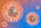 Routine HSV Screening Not Recommended by USPSTF Routine HSV Screening Not Recommended by USPSTF