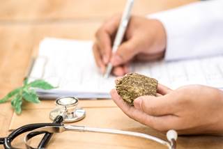 A patient undergoing cancer treatment died from fungal infection from medical marijuana. A patient undergoing cancer treatment died from fungal infection from medical marijuana.