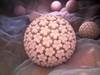 Self-Sampling Strategy to Encourage Screening for High-Risk Human Papillomavirus Self-Sampling Strategy to Encourage Screening for High-Risk Human Papillomavirus