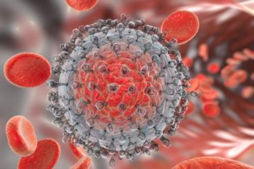 Prophylaxis may protect kidney recipients from HCV Prophylaxis may protect kidney recipients from HCV