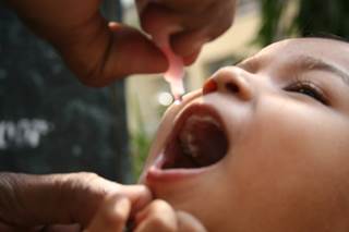 Following the eradication of wild poliovirus type 2 in 2015, trivalent vaccines were replaced with bivalent OPV. Following the eradication of wild poliovirus type 2 in 2015, trivalent vaccines were replaced with bivalent OPV.