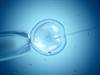 Reduced Fertility in Obese Women May Be Related to Dysfunctional Insulin Pathway Reduced Fertility in Obese Women May Be Related to Dysfunctional Insulin Pathway
