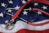 Denial of Medically Necessary Gender-Affirming Surgeries Hurts US Veterans Denial of Medically Necessary Gender-Affirming Surgeries Hurts US Veterans