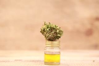 Many patients use medical cannabis without their mainstream health care provider's knowledge. Many patients use medical cannabis without their mainstream health care provider's knowledge.
