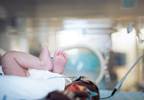 CDC reports increase in low birthweight from 2014 to 2016 CDC reports increase in low birthweight from 2014 to 2016