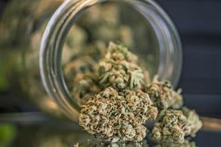 Little scientific evidence exists to back up the how and why of medical marijuana use. Little scientific evidence exists to back up the how and why of medical marijuana use.