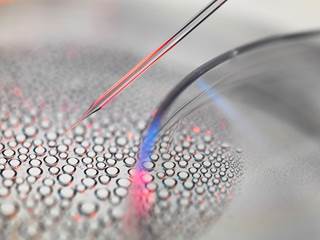 The study utilized data from only 2 crowdfunding platforms, suggesting that the overall number of crowdfunding campaigns for stem cell interventions is in fact higher. The study utilized data from only 2 crowdfunding platforms, suggesting that the overall number of crowdfunding campaigns for stem cell interventions is in fact higher.
