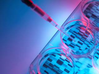 Genetic testing for cancer, cardiovascular, and neurodegenerative diseases presents a low psychological burden in patients and should be considered. Genetic testing for cancer, cardiovascular, and neurodegenerative diseases presents a low psychological burden in patients and should be considered.