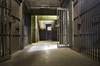 Prisoners to Parental Incarceration: How Do Incarceration Rates Affect Infant Mortality? Prisoners to Parental Incarceration: How Do Incarceration Rates Affect Infant Mortality?