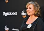 Roseanne Barr's "Ambien Excuse" Tried in the Court of Public Opinion Roseanne Barr's "Ambien Excuse" Tried in the Court of Public Opinion