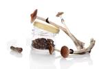 Psilocybin Study Gets Green Light From FDA for Treatment-Resistant Depression Psilocybin Study Gets Green Light From FDA for Treatment-Resistant Depression