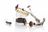 Psilocybin Study Gets Green Light From FDA for Treatment-Resistant Depression Psilocybin Study Gets Green Light From FDA for Treatment-Resistant Depression