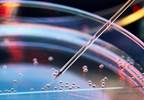 Exploring the Effect of Data on Precision Medicine Research Exploring the Effect of Data on Precision Medicine Research