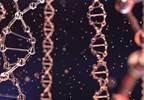 The Progression of Health Care From Personalized Medicine to Wellness Genomics and Beyond The Progression of Health Care From Personalized Medicine to Wellness Genomics and Beyond