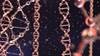The Progression of Health Care From Personalized Medicine to Wellness Genomics and Beyond The Progression of Health Care From Personalized Medicine to Wellness Genomics and Beyond